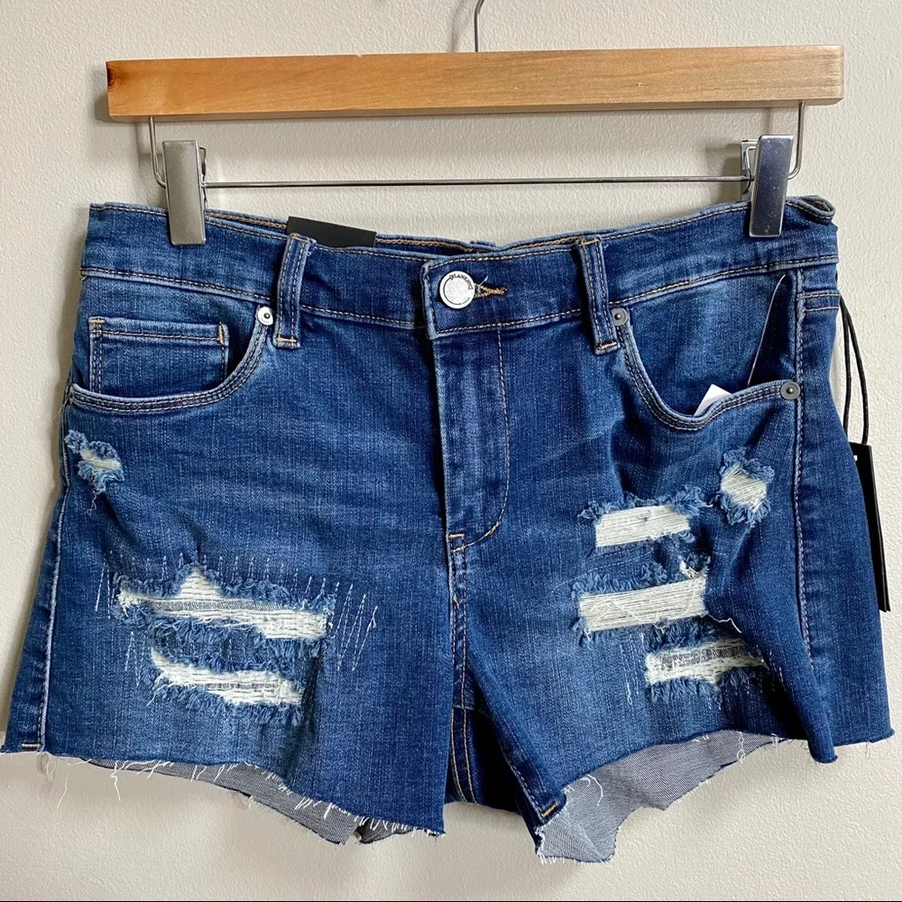 Blank NYC The Essex Rip and Repair Denim Shorts Size 28